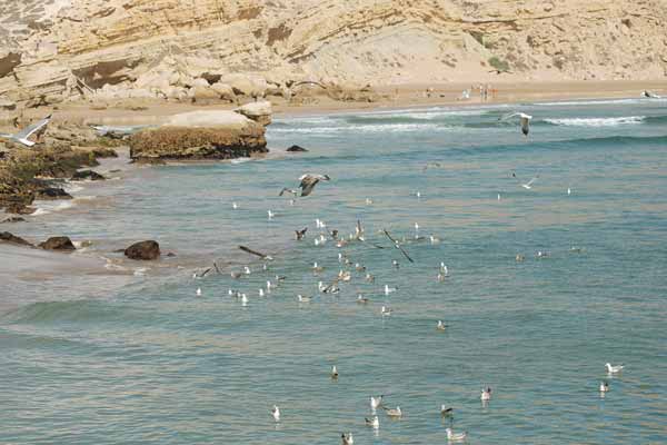 جريمة بشعة في آيت ورير.. ذبحا تاجرا وألقيا جثته في البحر وسرقا أمواله