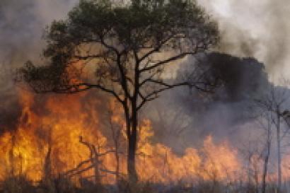 أكادير.. حريق في غابة أمسكرود
