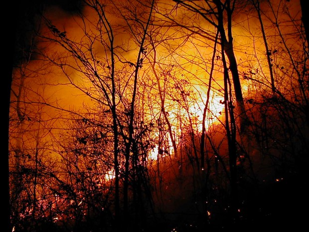 أكادير.. حريق يأتي على 250 هكتارا من المساحات الغابوية (صور)