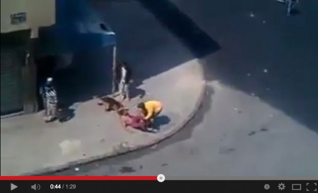 على ناشيونال جيوغرافيك.. تحليل فيديو هجوم الكلاب على شخص في كازا