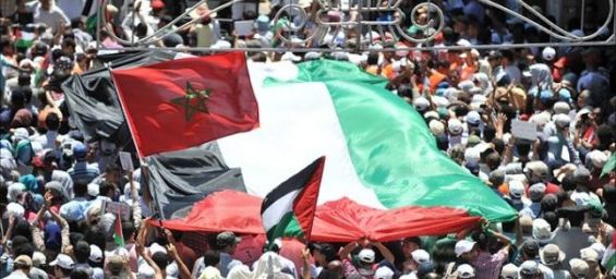 الأحد المقبل.. مسيرة تضامنية مع الشعب الفلسطيني في الدار البيضاء