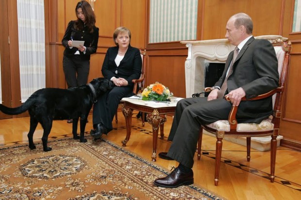 بعد 9 سنوات.. بوتين يعتذر لميركل بسبب كلبته (صور)
