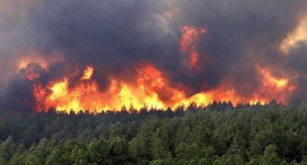 زمزم/ المضيق الفنيدق.. حريق يلتهم حوالي 74 هكتارا من الغابة