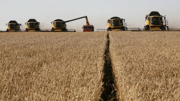 بموجب اتفاق أسعار تفضيلية.. المغرب يطرح مناقصة لشراء كميات من القمح اللين الأمريكي