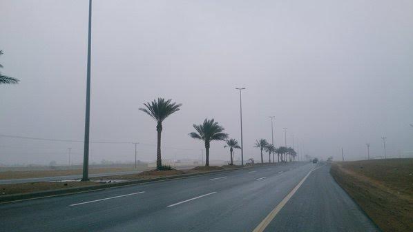 الجمعة.. ضباب وأمطار وحرارة