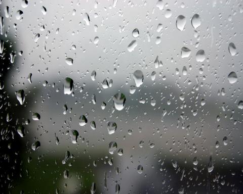 «أمطار وشبورة».. تعرف على حالة الطقس بمحافظات مصر 