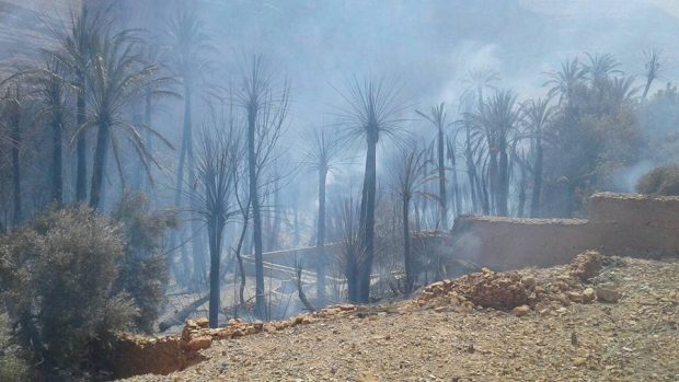 الكارثة في واحات تمنارت في إقليم طاطا.. إجلاء عشرات المواطنين والنيران تلتهم هكتارات النخيل (صور)