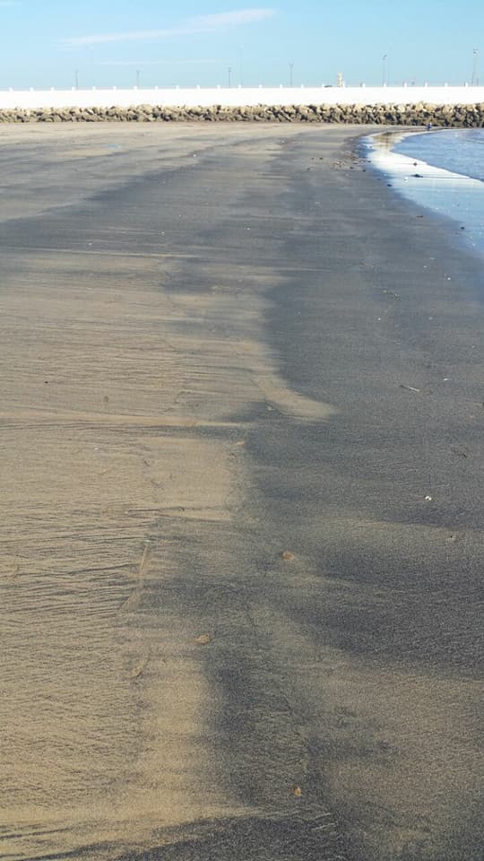 تدابير استعجالية ولجنة لمتابعة الملف.. بقع سوداء في شاطئ ميرامار في المحمدية (صور وفيديو)