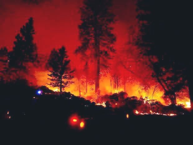 على السلامة.. السيطرة على حريق غابة مديونة في طنجة