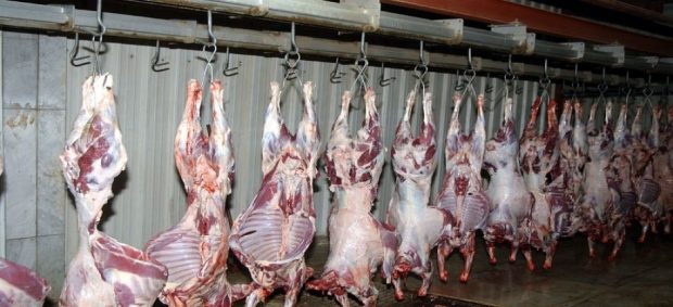 هاد الشي ما بقاش غير كلام.. مجلس الحسابات ينبه إلى مخاطر ذبح وتوزيع اللحوم