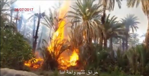 بالفيديو.. حريق في واحة أسا