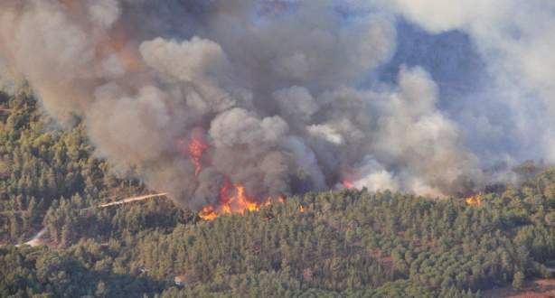 الحسيمة .. حريق يأتي على أزيد من أربعة هكتارات من غابة بوسكور
