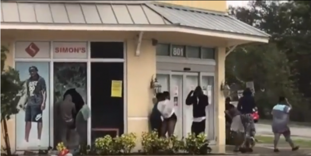 بعد إخلاء المنازل بسب الإعصار.. الشفارة ضاربين يديهم في فولاية فلوريدا الأمريكية! (فيديوهات)