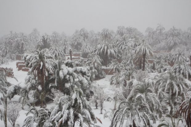 بعد أزيد من 50 عاما.. الثلوج في زاكورة (صور وفيديو)