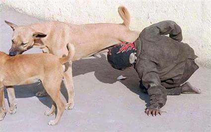 بعدما راج أنها التقطت في تزنيت.. وزارة الداخلية توضح حقيقة صورة شخص يرضع ثدي كلبة!!