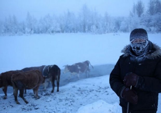 الناس اللي غيمشيو لروسيا وجّدو راسكم للسم.. درجات الحرارة في ياقوتيا تنخفض إلى ما دون 67 درجة تحت الصفر!!