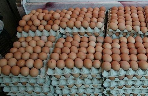 اليوم الوطني للبيض.. كل مغربي كياكل 180 بيضة فالعام!