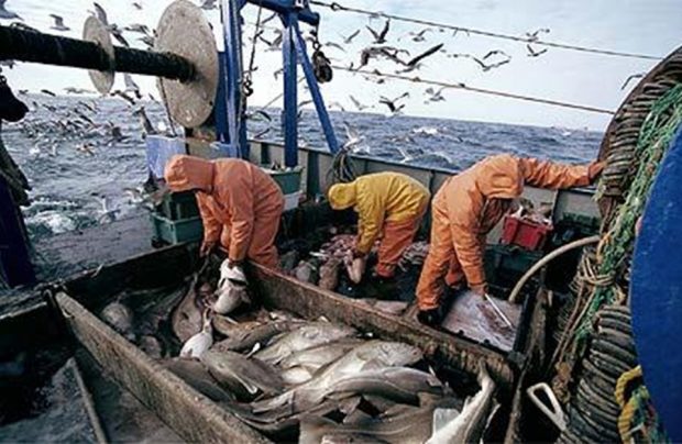 التفاوض حول اتفاق جديد للصيد البحري.. أوروبا ما ساخياش بالحوت ديال المغرب!