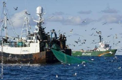 طنجة..غرفة الصيد البحري تعلق على مفاوضات الصيد البحري مع أوروبا