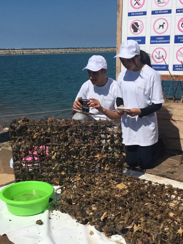 أقفاص عائمة.. برنامج “المدارس الإيكولوجية” في الناظور