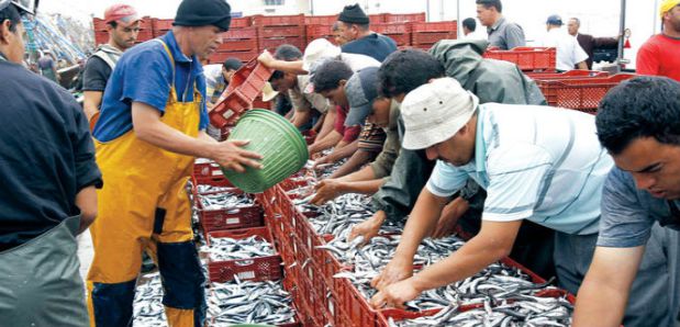 اتفاق الصيد البحري مع الاتحاد الأوروبي.. شنو رابح المغرب؟ (صور)