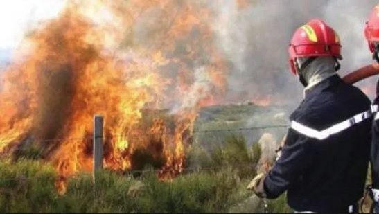 الحوز.. تعاون السكان والسلطات يطفئ حريقا في غابة أوريكا