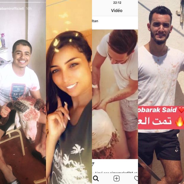 بالصور والفيديو.. مشاهير مغاربة يذبحون ويسلخون على إنستغرام!