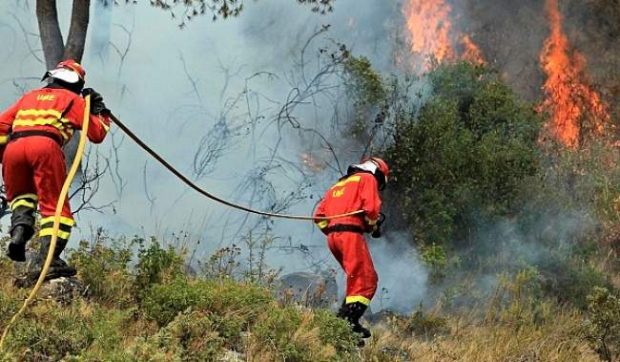 في ثمانية أشهر.. الحرائق تلتهم آلاف الهكتارت من غابات إسبانيا