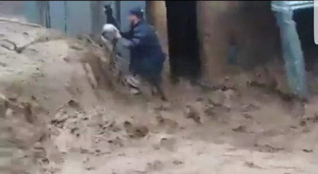 بالفيديو من ضواحي الحسيمة.. راعي غنم يقاوم السيول الجارفة لينقذ خرافه!