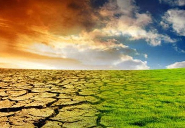 الجفاف يزيد من تركيز ثاني أكسيد الكربون في الهواء.. العالم في خطر!