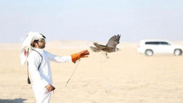 مشاو يصيّدو الحبار.. “أمراء” قطريون في ضيافة البوليساريو!!