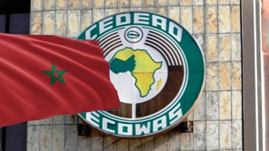 دير ما دار جارك.. الجزائر تحاول منافسة المغرب في منطقة غرب إفريقيا