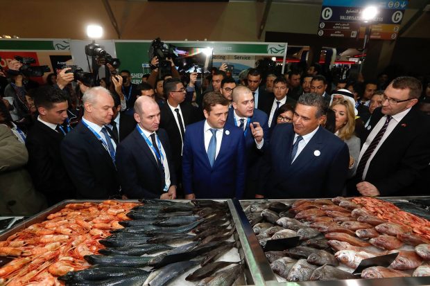 أخنوش: الإنتاج الوطني لقطاع الصيد البحري ارتفع إلى أزيد من مليون طن