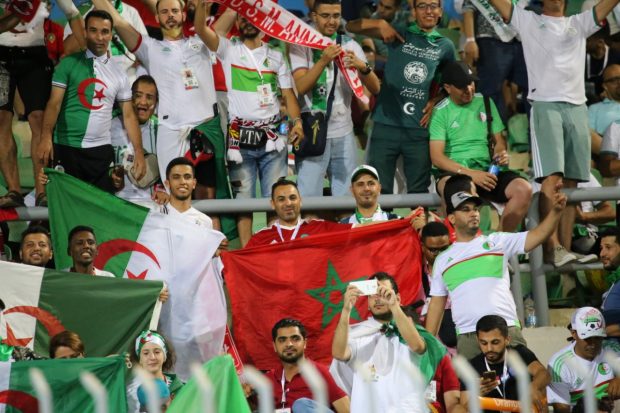 معاكم حتى للفينال.. جماهير مغربية تساند الجزائر في كأس الأمم الإفريقية