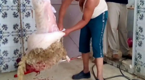 قتل راسو بالغلط.. أب فبني ملال كان كيسلخ الكبش وضربو الموس