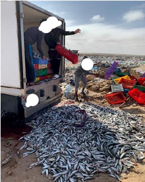 بالصور من طرفاية.. حجز أطنان من سمك السردين المهرّب باتجاه أكادير