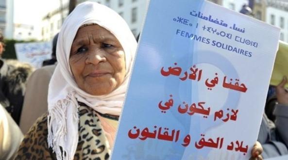 ربيعة عسول.. أول امرأة تنتخب في تاريخ الجماعات السلالية في المغرب