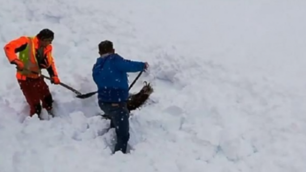 بعد أيام من اختفائه.. العثور على جثة ستيني وسط الثلوج في جبال أزيلال