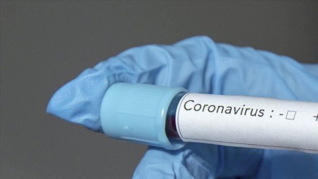 فيروس كورونا.. أول حالة وفاة في مصر
