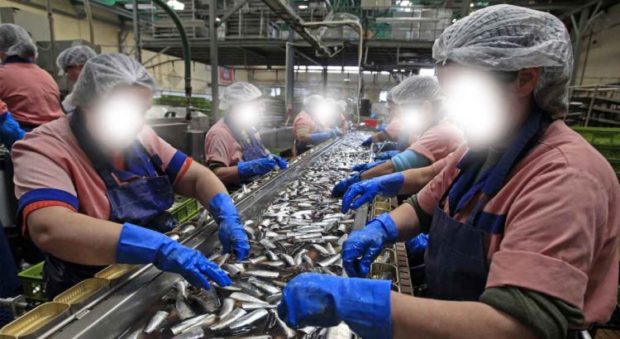 مخاوف من ظهور بؤرة جديدة.. إصابة عامل في مصنع للسمك في أكادير بكورونا 