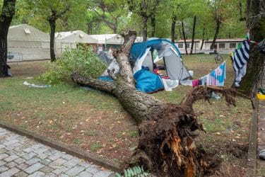 مأساة.. سقوط شجرة يودي بحياة طفلتين مغربيتين في إيطاليا