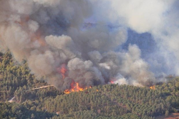 تعبئة طائرات “كنادير” وشاحنات صهريجية.. حريق أتى على 50 هكتار من غابات المضيق