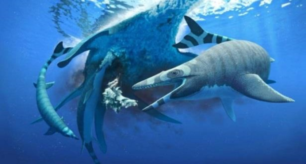 سحلية بحرية بأسنان القرش.. اكتشاف أثري جديد لـ”موزازور” في المغرب