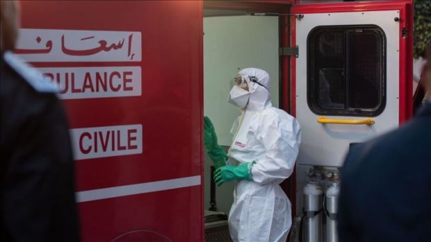 كورونا المغرب.. أربع وفيات ومعدل الإصابات ينخفض إلى 246 حالة