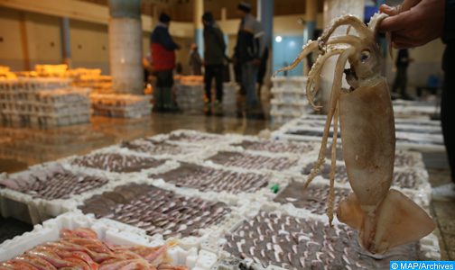 الصيد البحري: ارتفاع قيمة المنتجات المسوقة إلى 2.5 مليار درهم