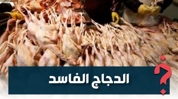 قضية “الدجاج الفاسد”.. مطالب بفتح تحقيق