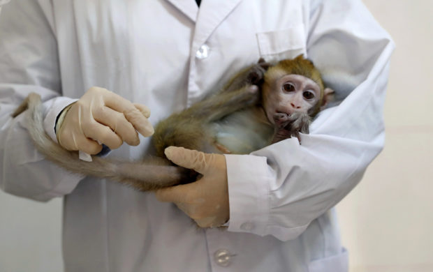 باقي كاع ما سالينا مع كورونا.. وفاة أول حالة بشرية بـ”الفيروس القردي B”  في الصين