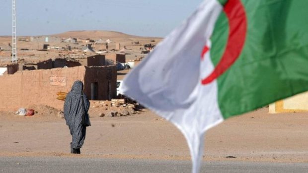 مجلس حقوق الإنسان.. توجيه أصابع الاتهام للجزائر بشأن الانتهاكات الجسيمة المرتكبة في مخيمات تندوف