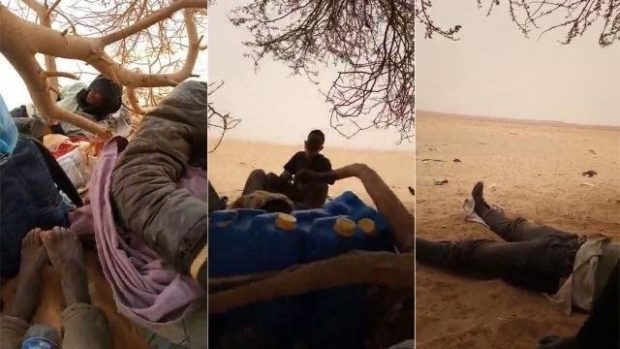 بالعنف وبدون ضمانات إنسانية.. النظام الجزائري يلقي بالمهاجرين في عرض صحراء النيجر (صور)