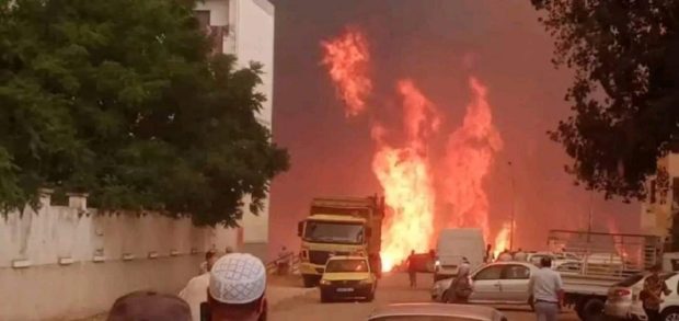 بالفيديو.. ولاية الطارف الجزائرية تلتهمها النيران وتتحول إلى ولاية منكوبة